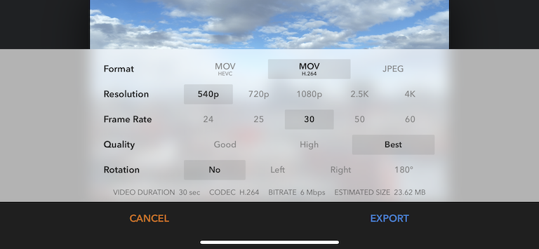 Skyflow export and rendering screen screenshot